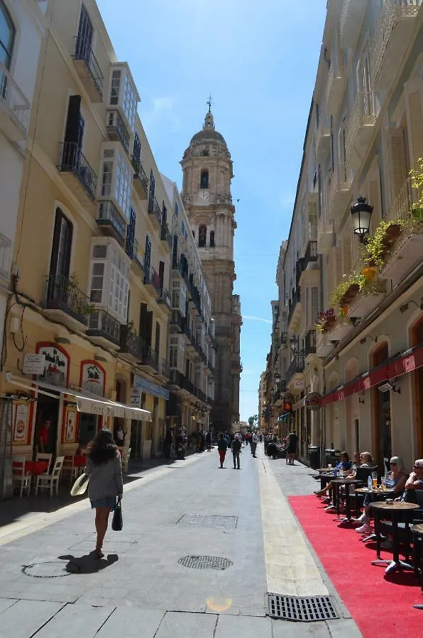 Homely Malaga Plaza Montano 0*,  Spain